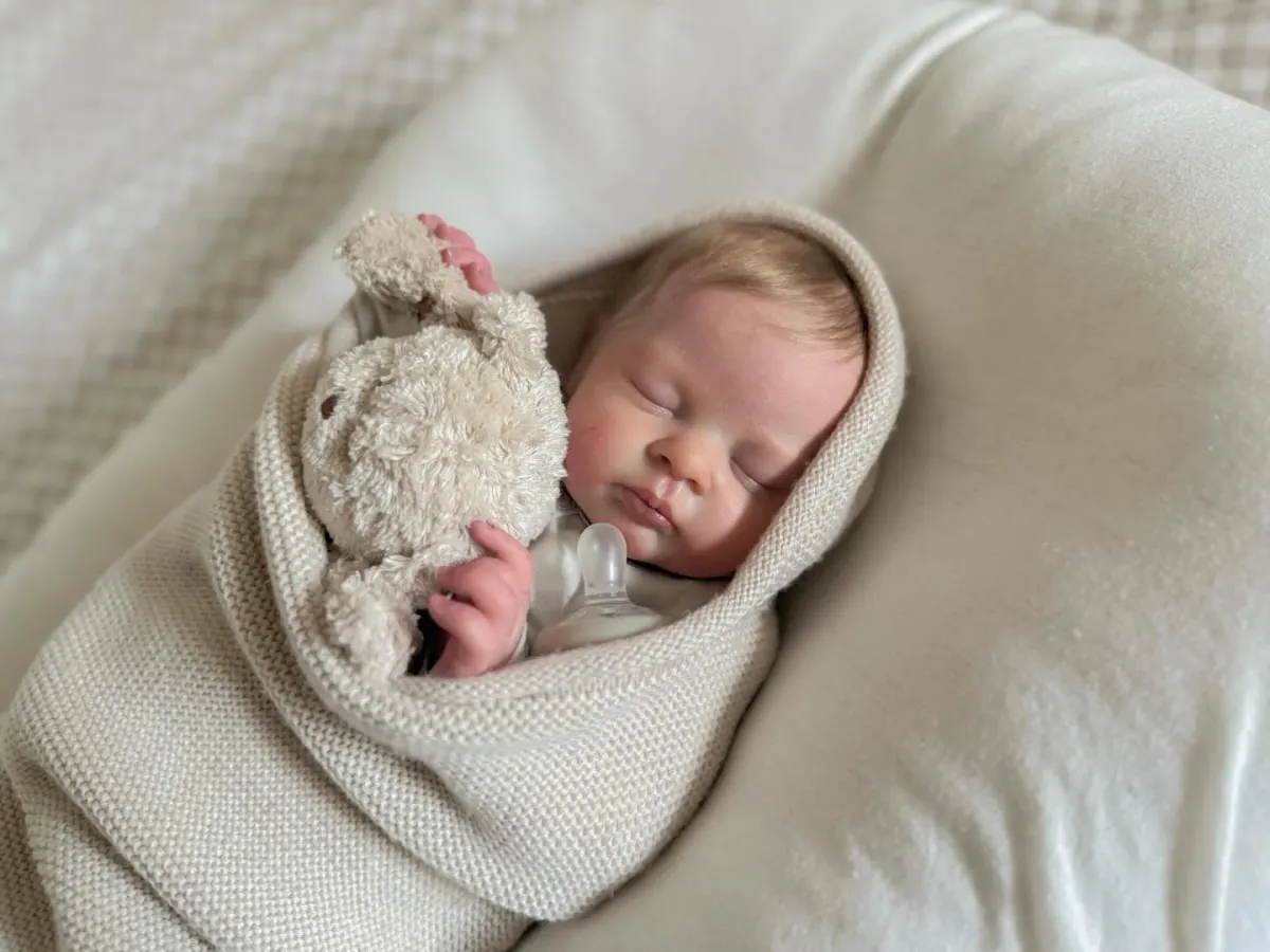 Baby Boy reborn doll collection