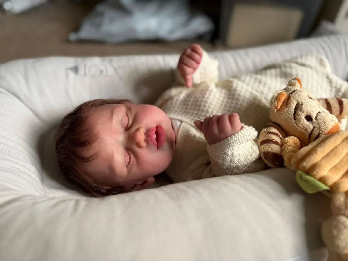 Mason reborn doll